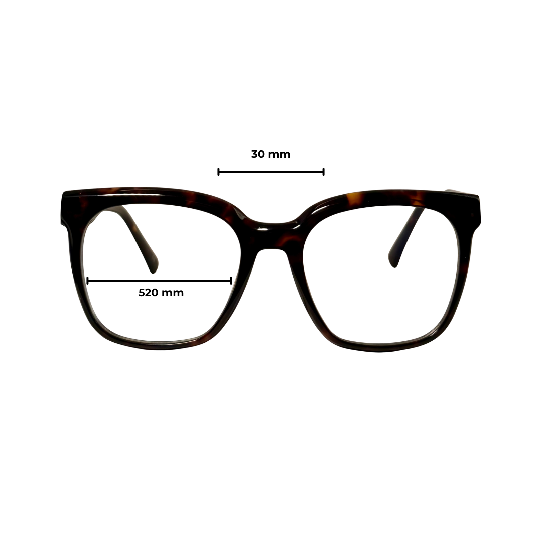 BLAULICHTFILTERBRILLE | RAVELLO F1056LT